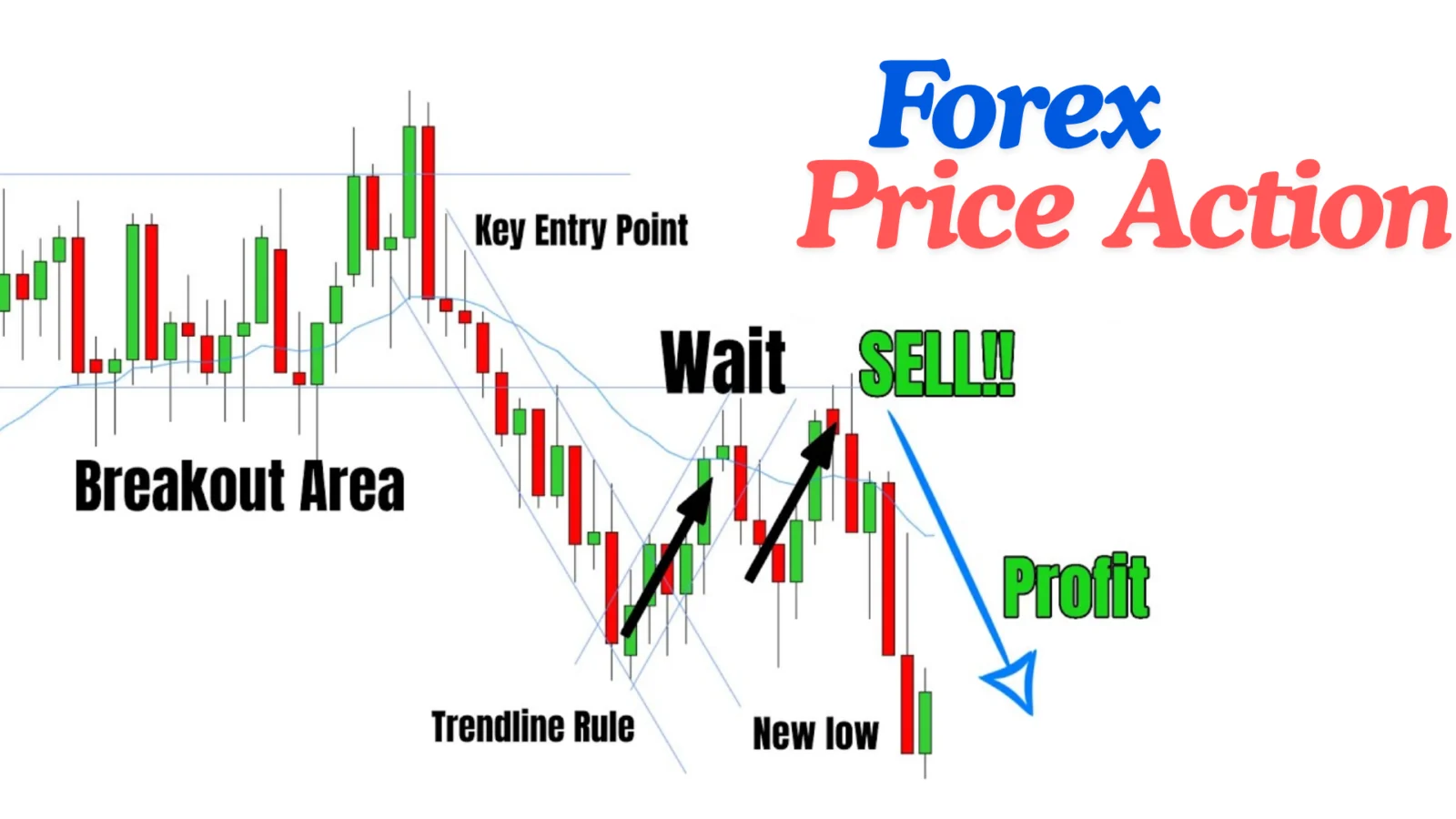 Forex Price Action Trading